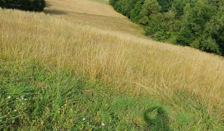 Działka rolna Majdan Abramowski