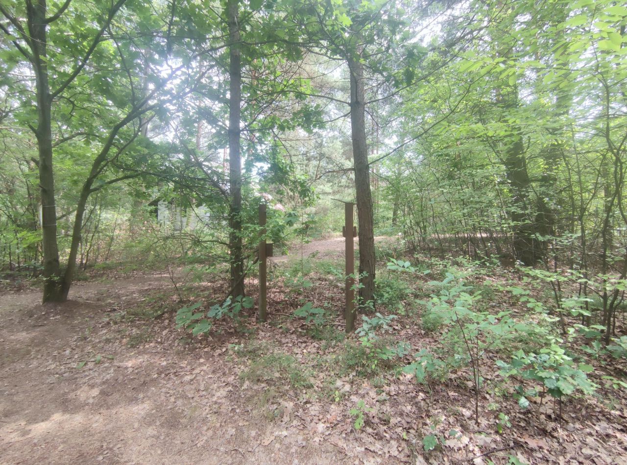 Działka siedliskowa Kuligów, ul. Okrężna. Zdjęcie 1