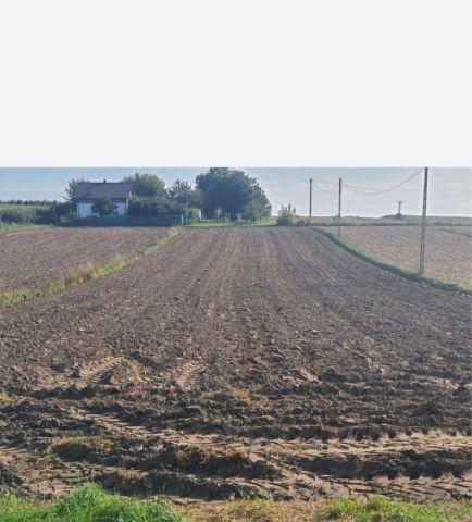 Działka budowlana Drygulec. Zdjęcie 1