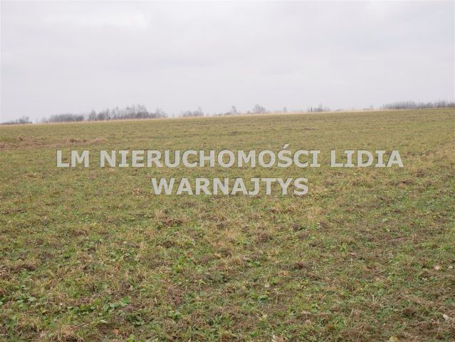 Działka Czerwionka-Leszczyny Leszczyny, ul. Żorska. Zdjęcie 3