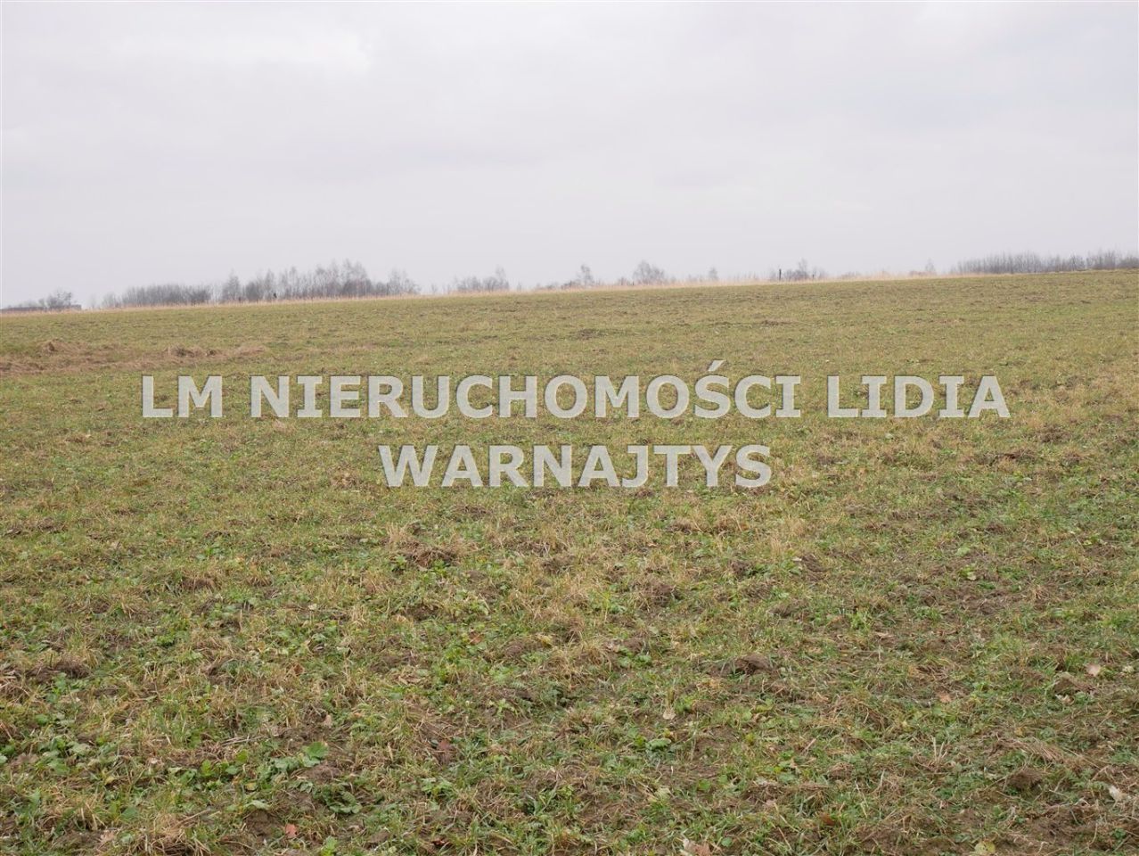 Działka Czerwionka-Leszczyny Leszczyny, ul. Żorska. Zdjęcie 3