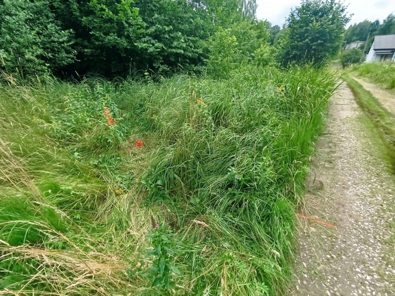 Działka budowlana Starachowice Górniki, ul. Kielecka. Zdjęcie 7