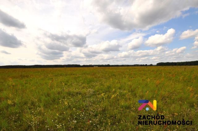 Działka rekreacyjna Karszyn. Zdjęcie 3