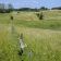 Działka rolna Dąbrówka. Zdjęcie 4