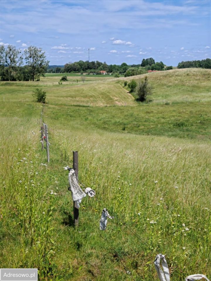 Działka rolna Dąbrówka. Zdjęcie 4