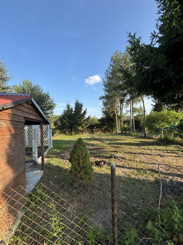 Działka rod Ciechanów. Zdjęcie 5