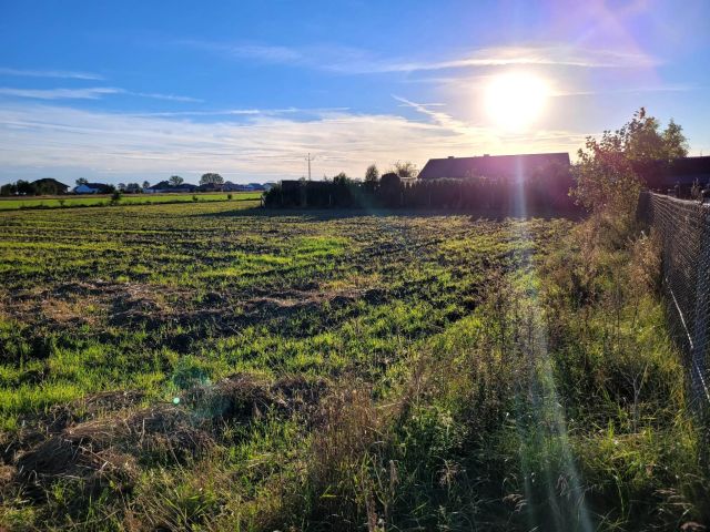 Działka budowlana Dzierzążenko. Zdjęcie 4