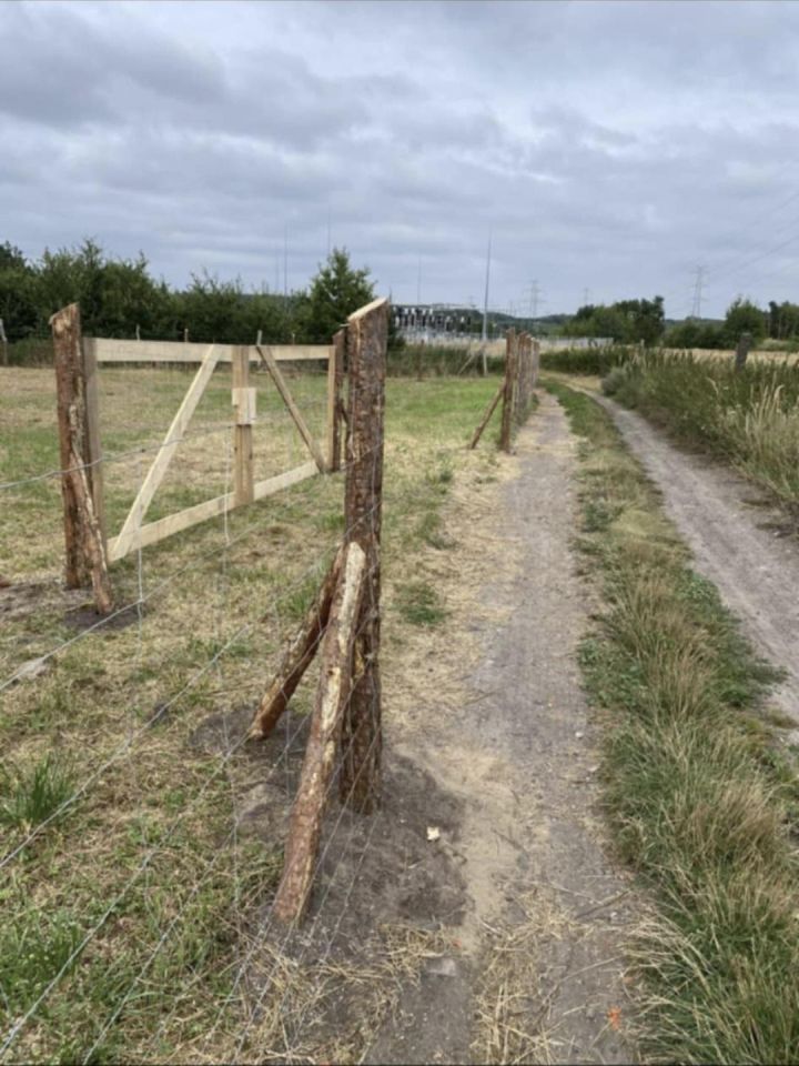 Działka budowlana Nowe Czarnowo. Zdjęcie 2