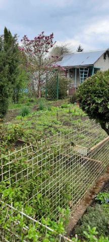 Działka rekreacyjna Gorzów Wielkopolski, ul. Marcina Kasprzaka. Zdjęcie 1
