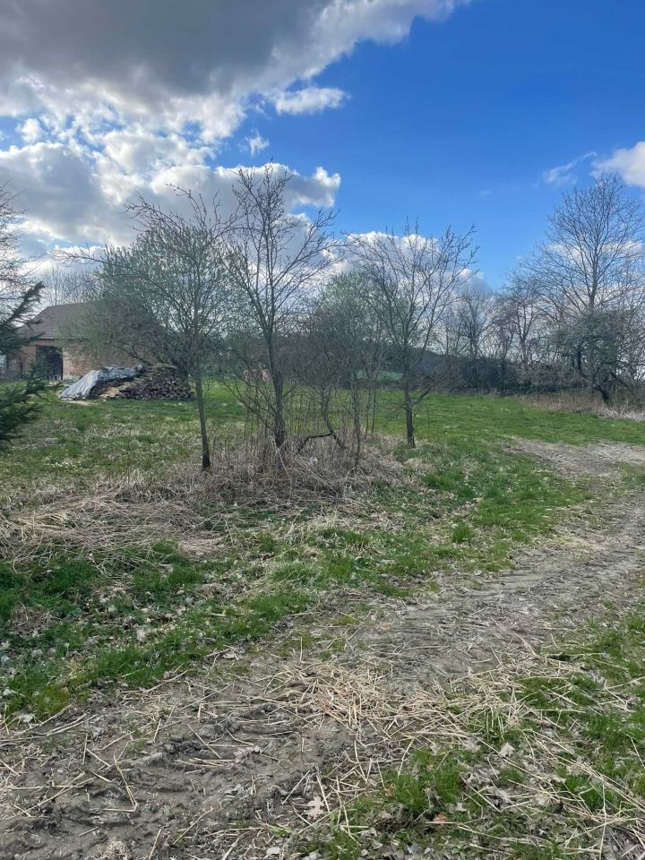 Działka budowlana Kalinowice Górne. Zdjęcie 4