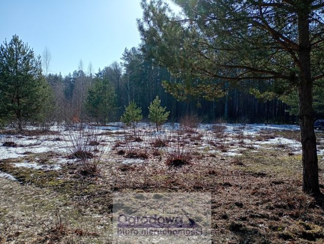 Działka budowlana Kąty. Zdjęcie 5