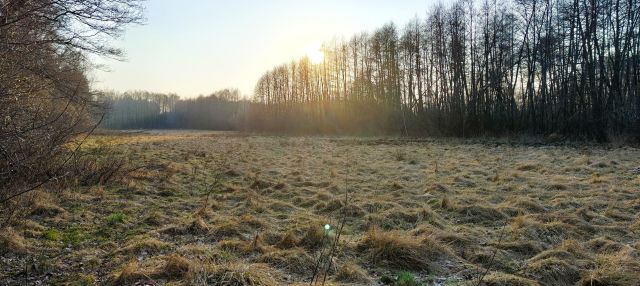 Działka rolno-budowlana Rydzyny, ul. Dolna. Zdjęcie 3