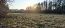 Działka rolno-budowlana Rydzyny, ul. Dolna. Zdjęcie 2