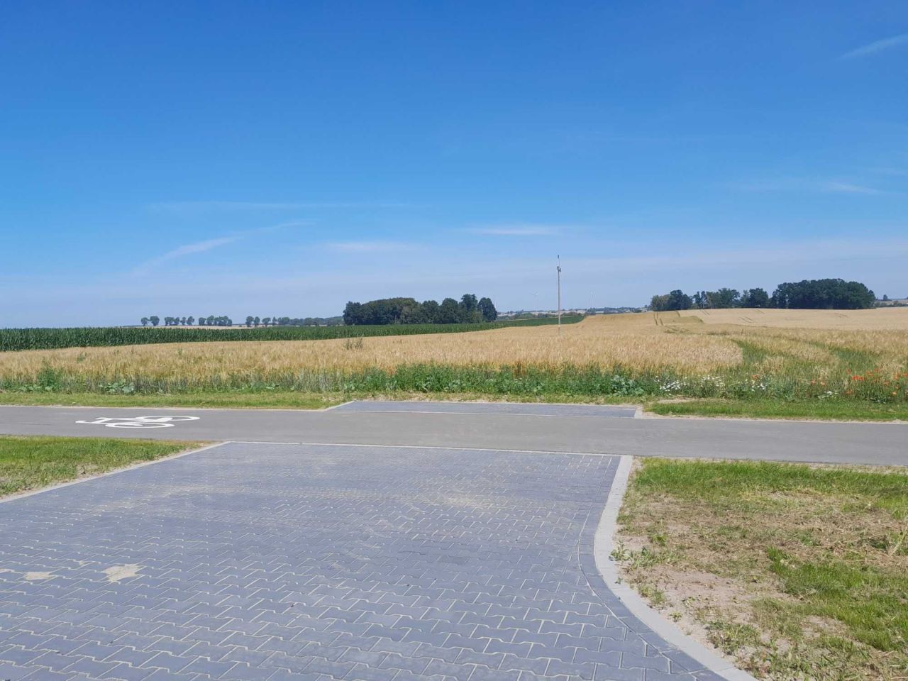Działka rolno-budowlana Ostrowite. Zdjęcie 3