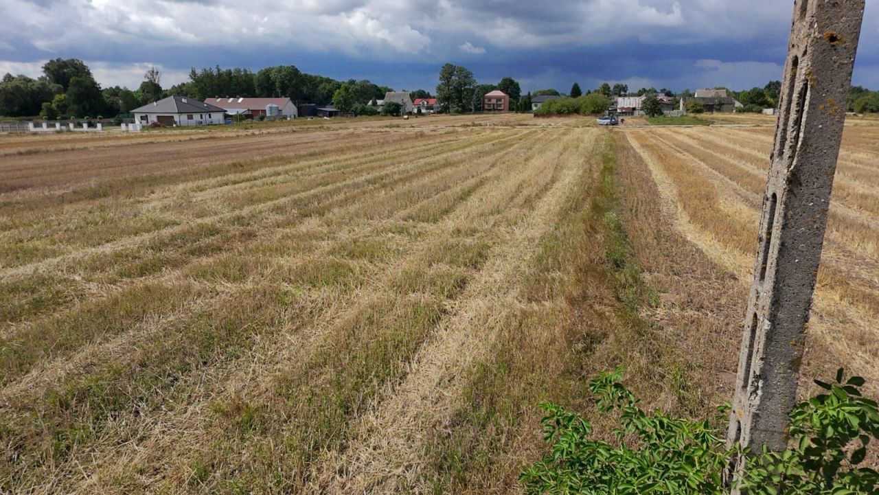 Działka rolno-budowlana Przywory Duże. Zdjęcie 5