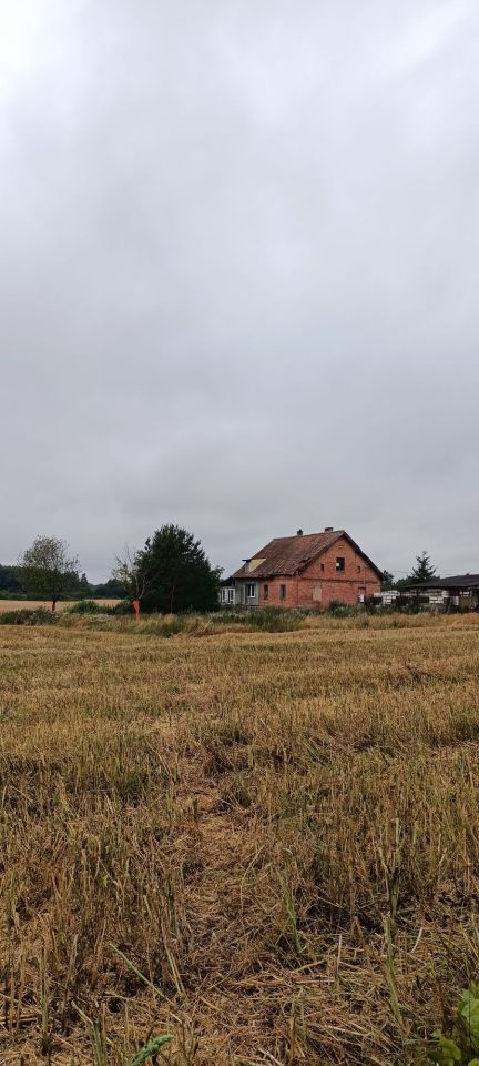 siedlisko Elgnowo. Zdjęcie 3