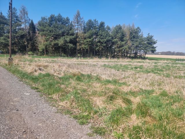 Działka rolno-budowlana Jarząbkowice. Zdjęcie 7