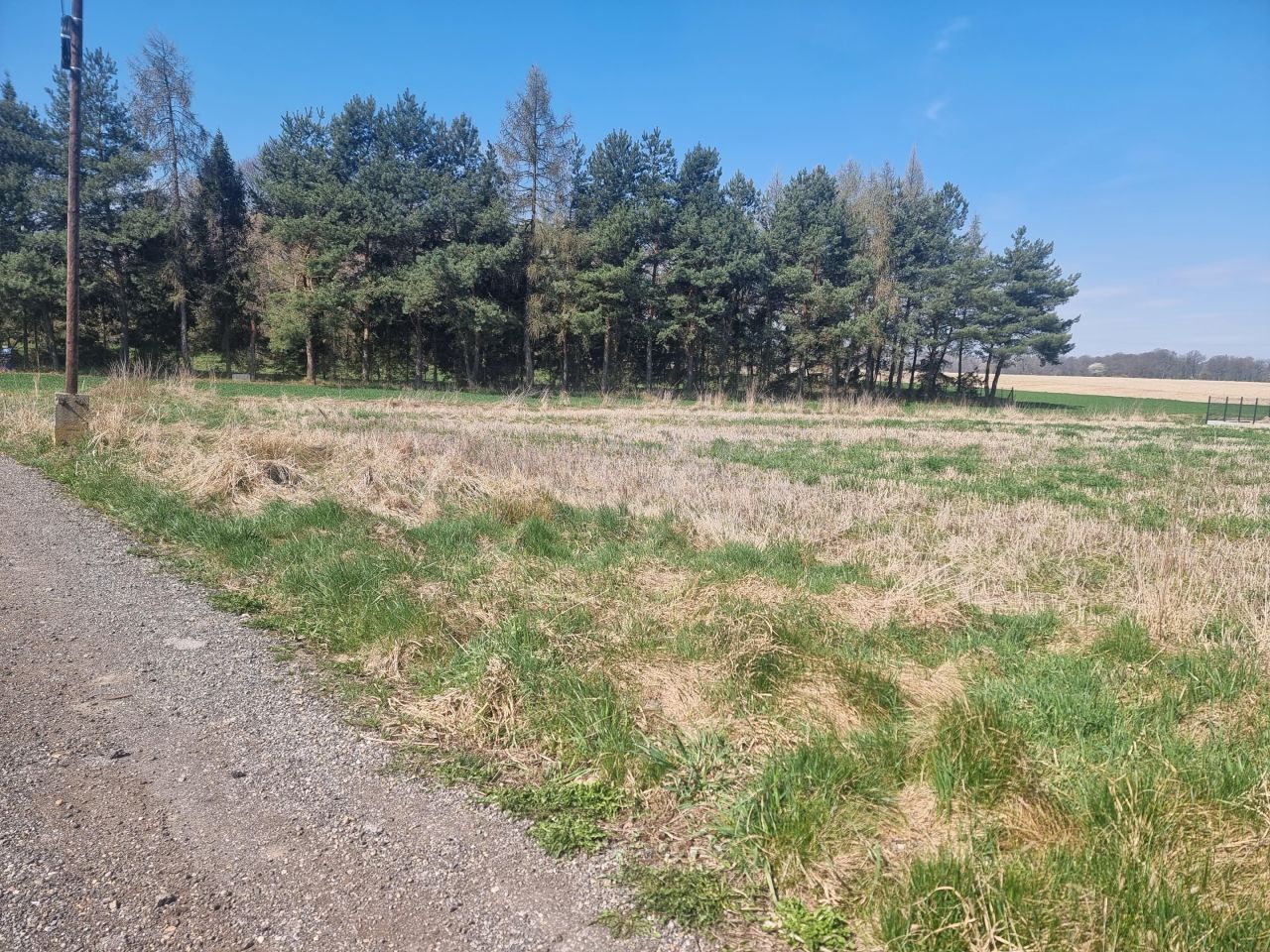 Działka rolno-budowlana Jarząbkowice. Zdjęcie 7