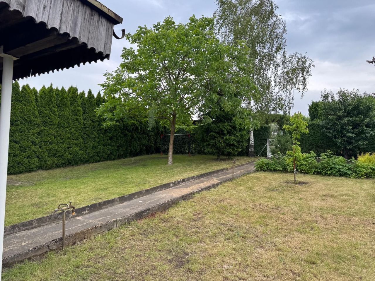 Działka rod Gniezno. Zdjęcie 5