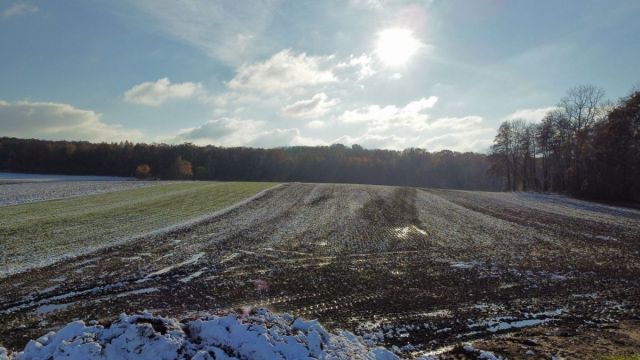 Działka inwestycyjna Prusice. Zdjęcie 6