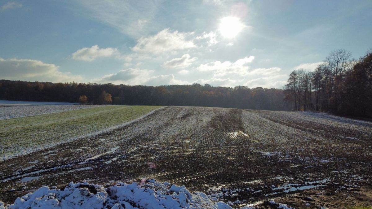 Działka inwestycyjna Prusice. Zdjęcie 6