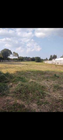 Działka budowlana Przygodziczki. Zdjęcie 1