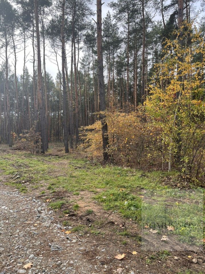 Działka budowlana Sulejówek, ul. Muzyczna. Zdjęcie 3