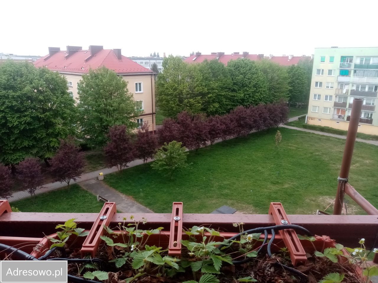 Mieszkanie 3-pokojowe Jelcz-Laskowice, ul. Ludwika Hirszfelda. Zdjęcie 14