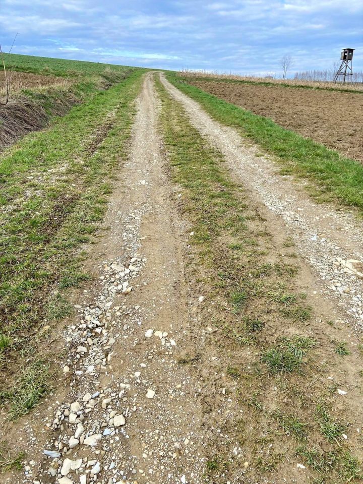 Działka rolna Pstrągówka. Zdjęcie 6