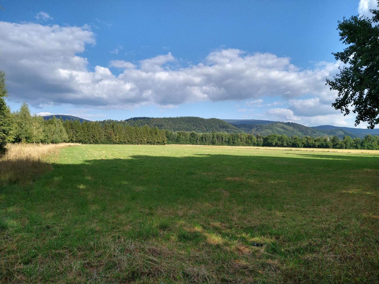 Działka budowlana Międzygórze. Zdjęcie 6