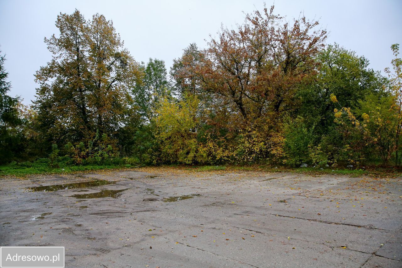 Hala/magazyn Pilnik. Zdjęcie 2