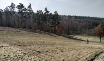 Działka rekreacyjna Lubieniec