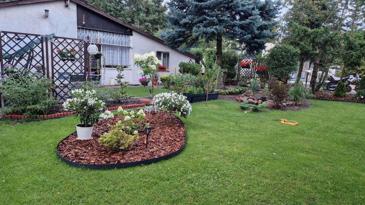 Działka rod Sierosław, ul. Leśna. Zdjęcie 18