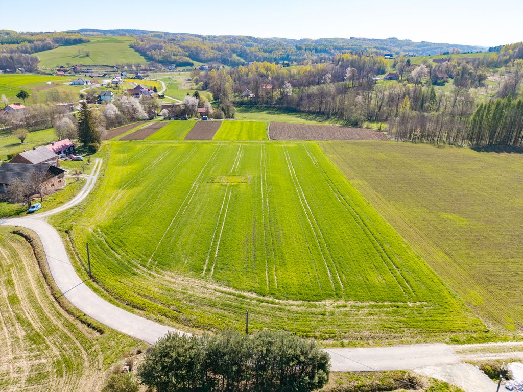 Działka budowlana Grodzisko. Zdjęcie 5