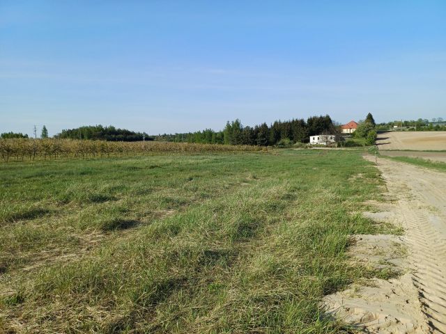 Działka budowlana Szpetal Górny Szpetal Górny-Kolonia, ul. Sadowa. Zdjęcie 1