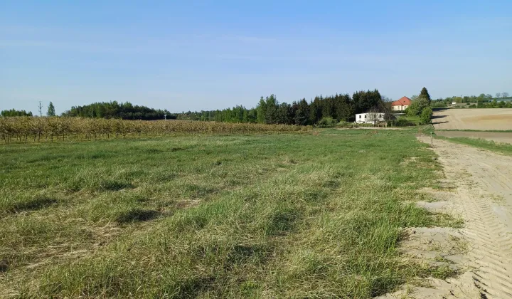 Działka budowlana Szpetal Górny Szpetal Górny-Kolonia, ul. Sadowa
