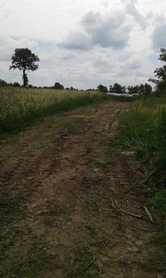 Działka budowlana Bożnów. Zdjęcie 4