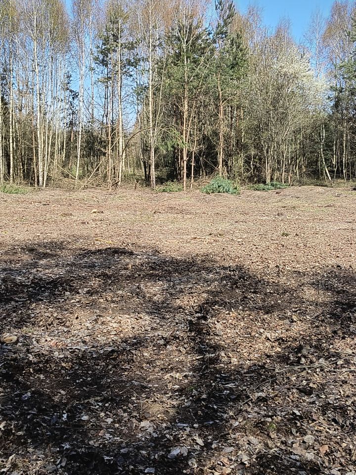 Działka rolno-budowlana Tarło-Kolonia. Zdjęcie 2