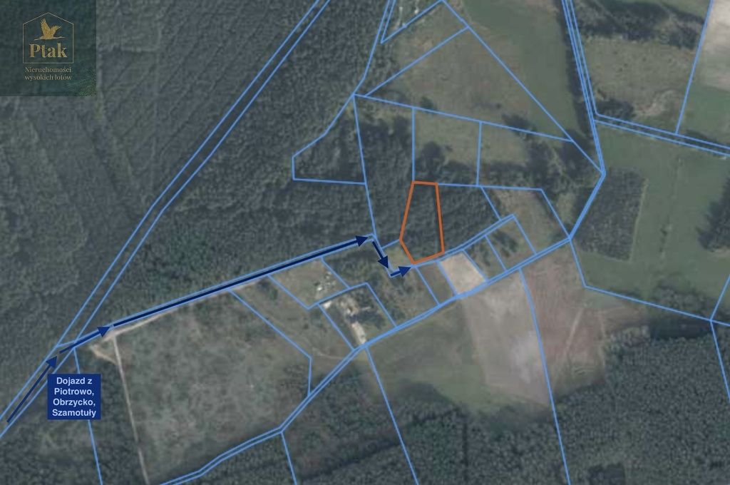 Działka rolna Obrzycko. Zdjęcie 2