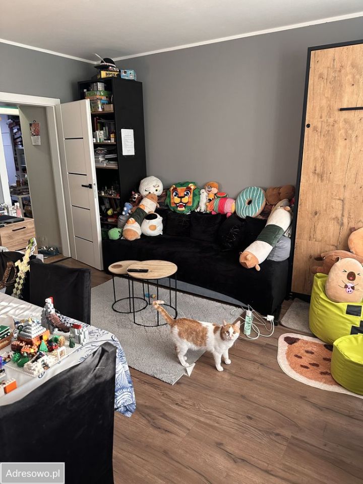 Mieszkanie 2-pokojowe Płock Międzytorze, ul. Braci Jeziorowskich. Zdjęcie 10