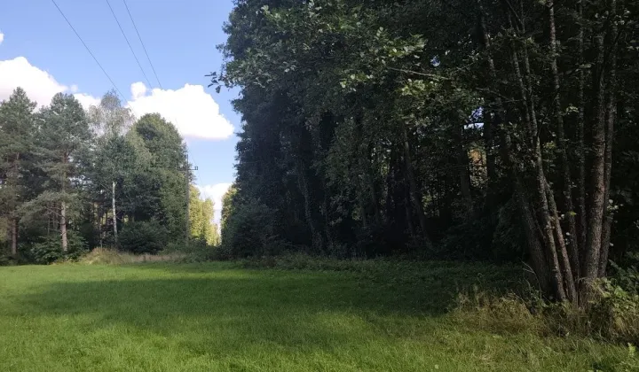 Działka leśna Iły