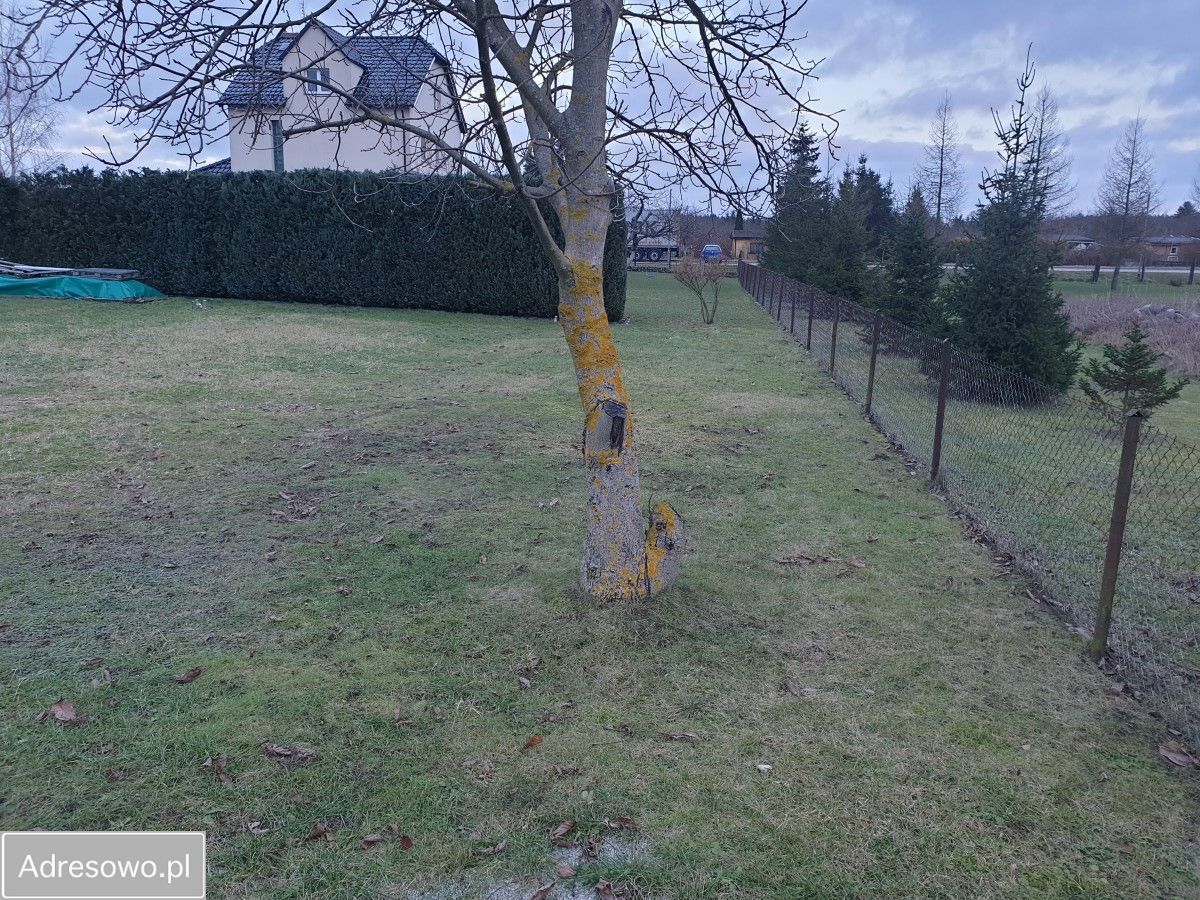 Działka budowlana Trzcianka, ul. Ogrodowa. Zdjęcie 9