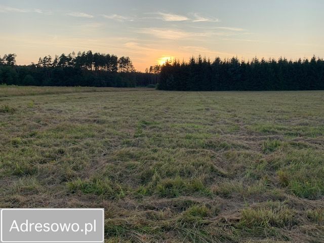 Działka rolna Rzystnowo. Zdjęcie 14