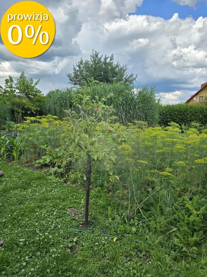 dom wolnostojący Krasice. Zdjęcie 16