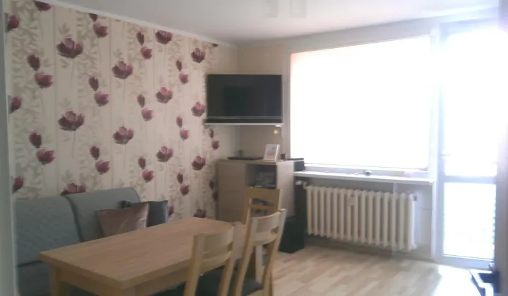 Mieszkanie 1-pokojowe Zielona Góra Centrum