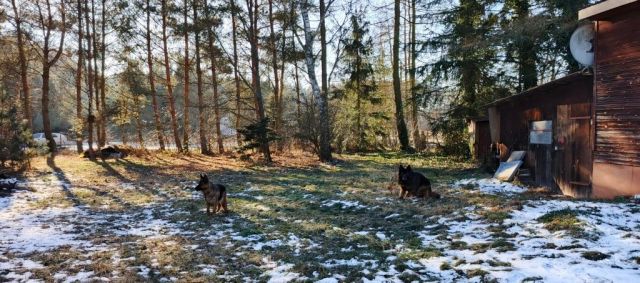 Działka rolno-budowlana Pszczółki, Pszczółki 48a. Zdjęcie 7