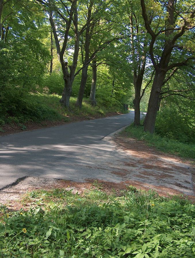 Działka budowlana Włynkówko, ul. Aleja nad Rzeką. Zdjęcie 15