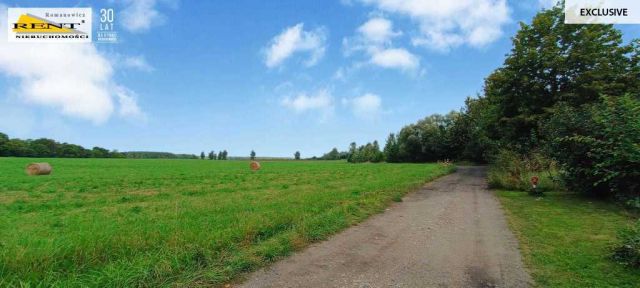 Działka budowlana Wapnica. Zdjęcie 5
