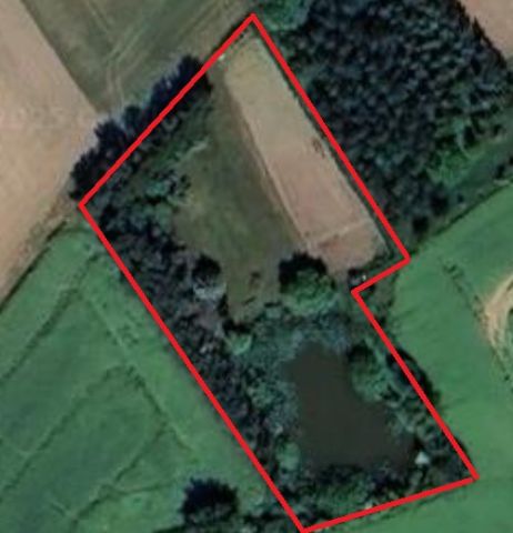 Działka rolna Łopatki, Łopatki. Zdjęcie 1