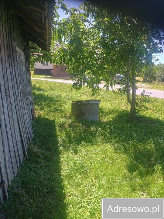 gospodarstwo Straszydle. Zdjęcie 2